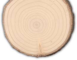 BERENS TREE & EXCAVATING LLC logo