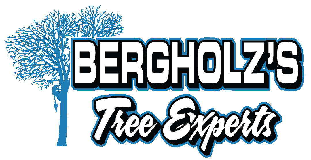 BERGHOLZ'S TREE EXPERTS LLC logo