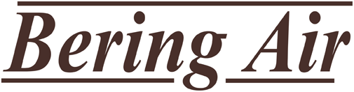 BERING AIR INC logo