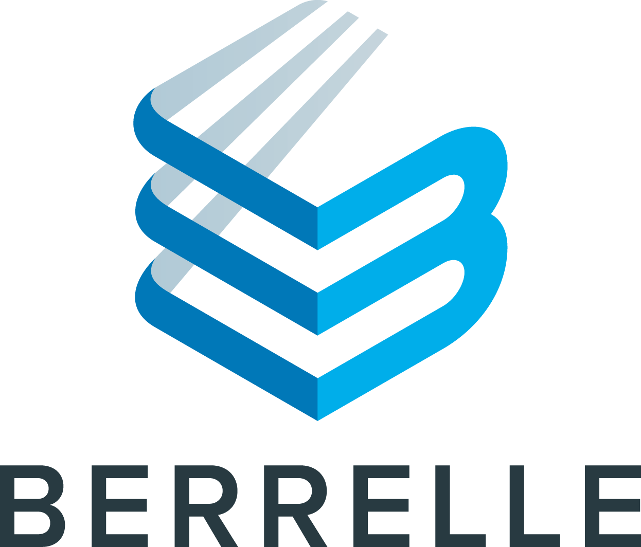BERRELLE LLC logo