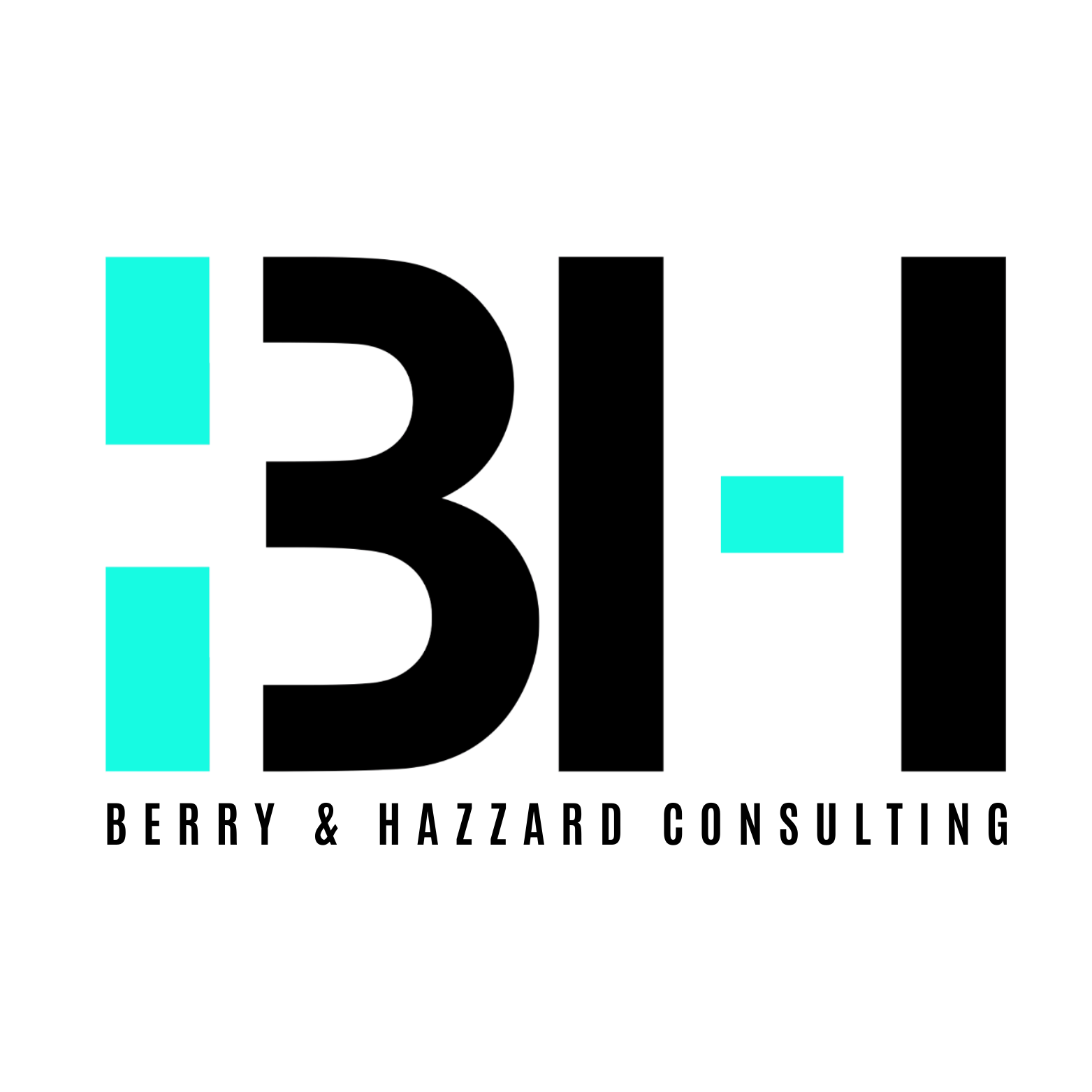 BERRY AND HAZZARD CONSULTING logo