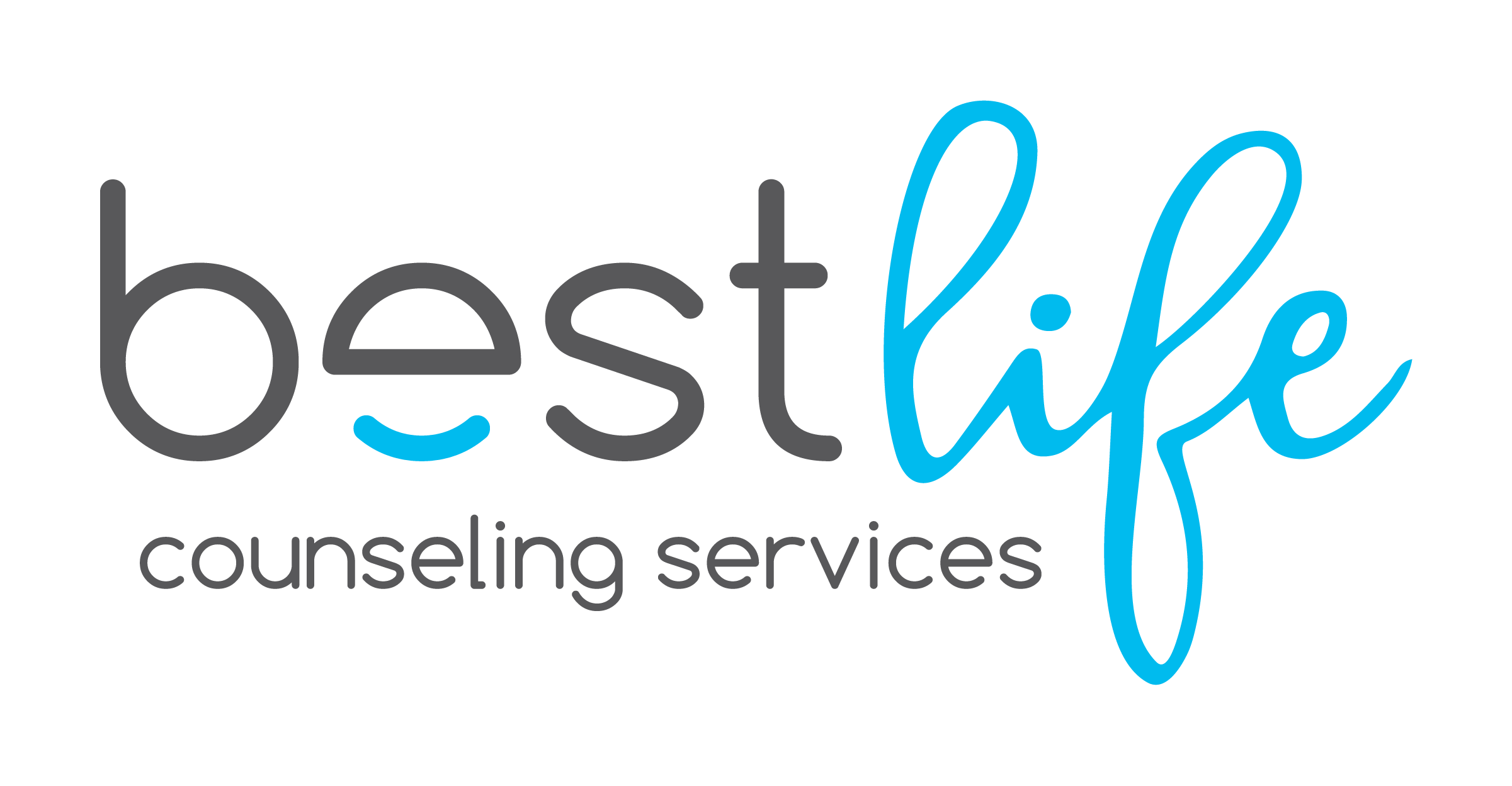 BESTLIFE COUNSELING SERVICES LLC logo