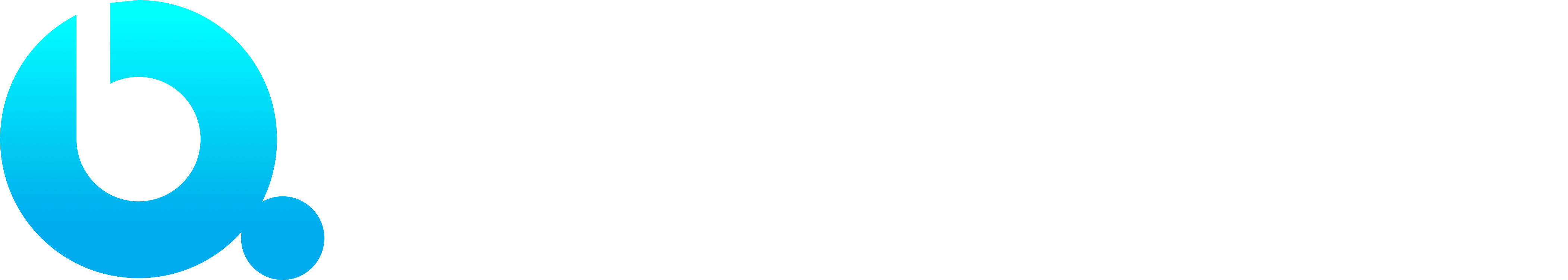 BETAQUICK LLC logo