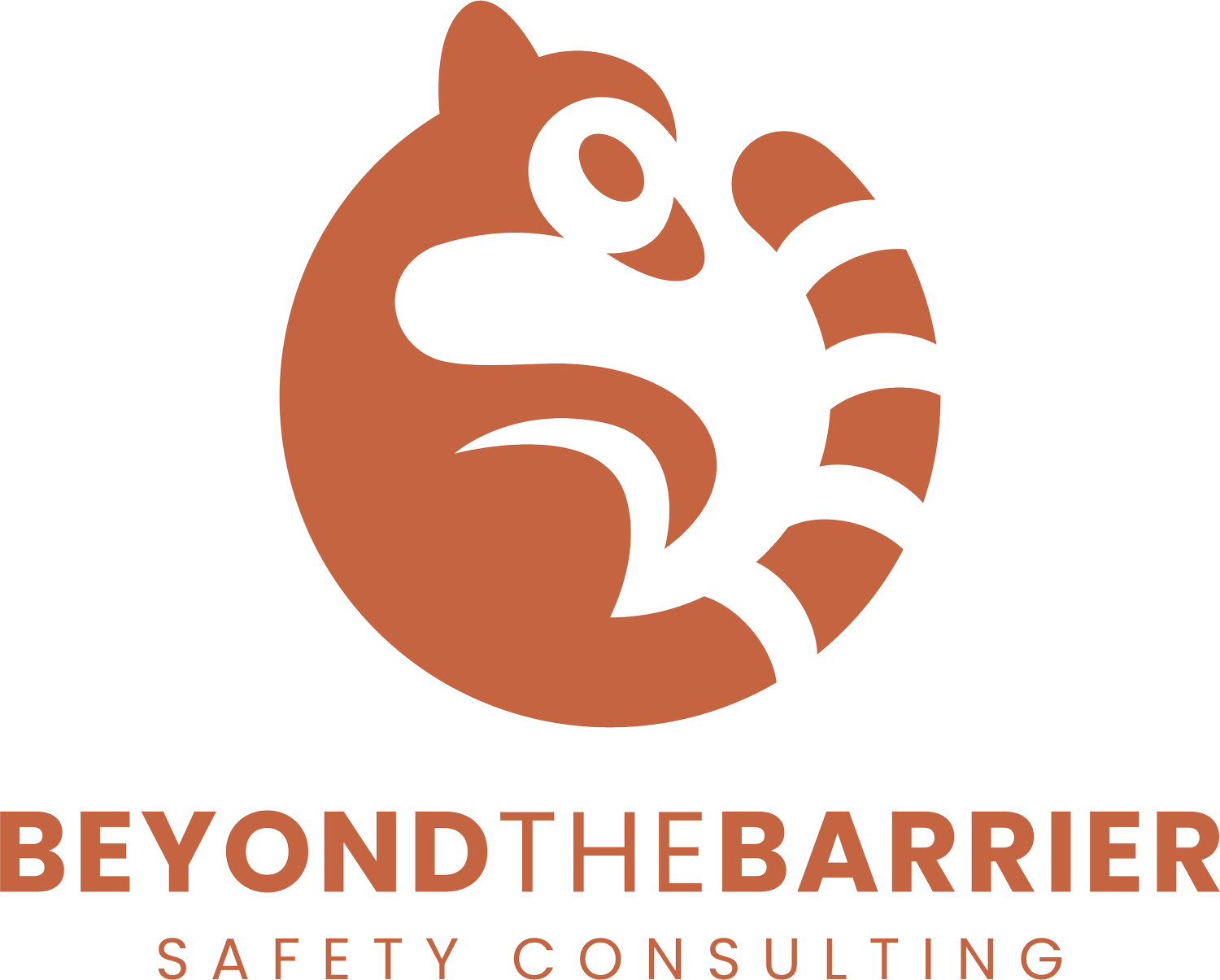 BEYOND THE BARRIER SAFETY CONSULTING, LLC logo