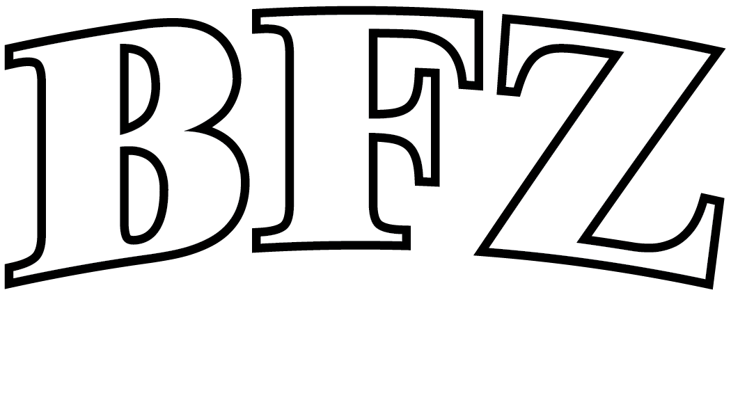 BFZ ELECTRIC LLC logo