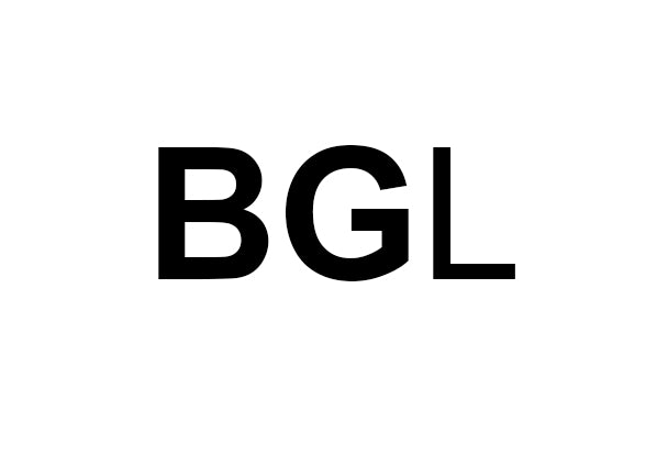 BG LATITUDE LLC logo
