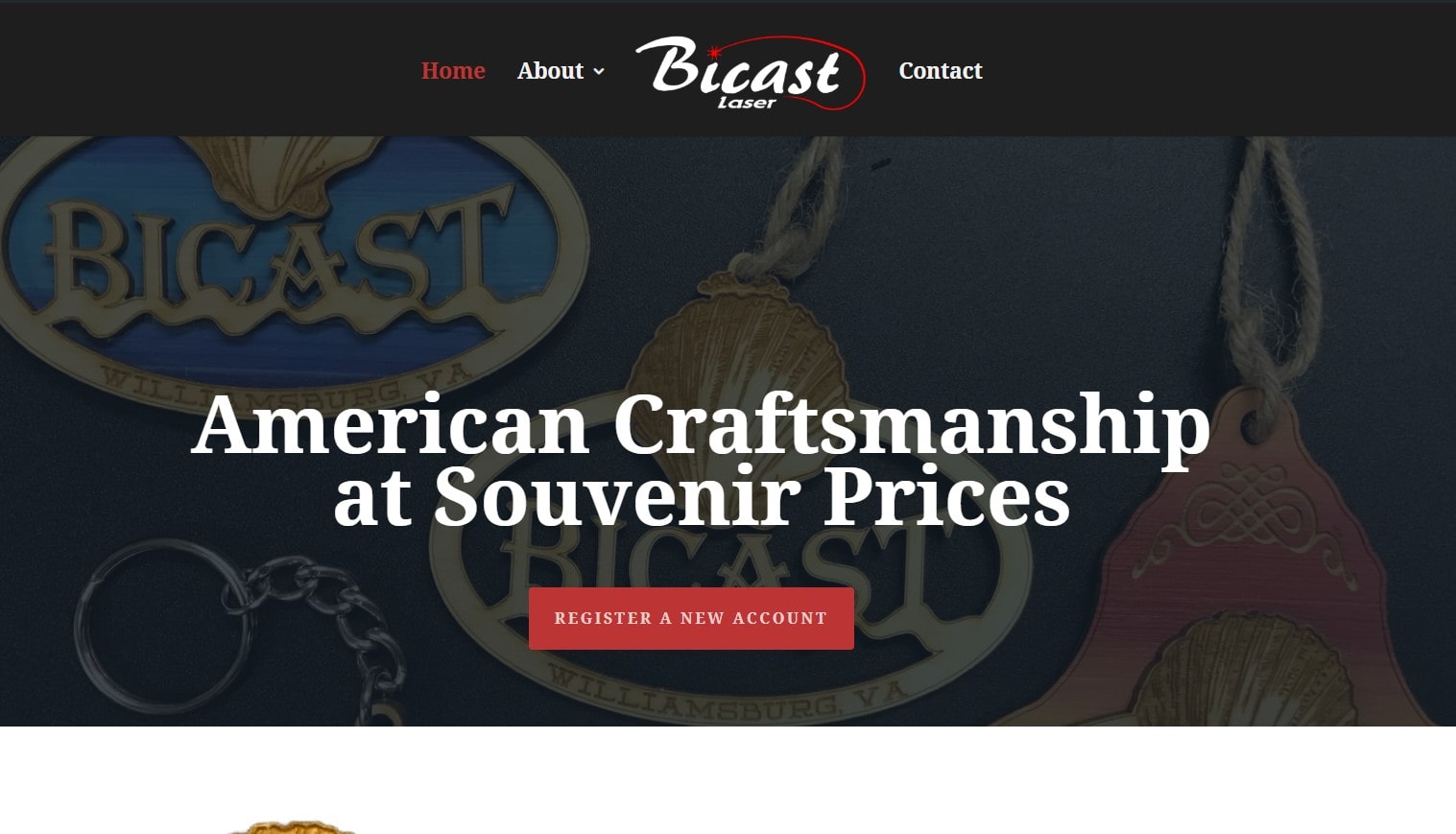BICAST INC logo