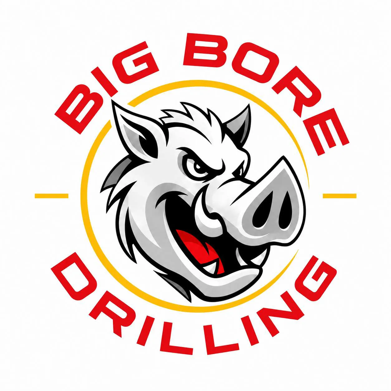 BIG BORE DRILLING INC logo