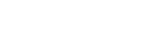 BIG-BUSINESS IMPROVEMENT GROUP, INC. logo
