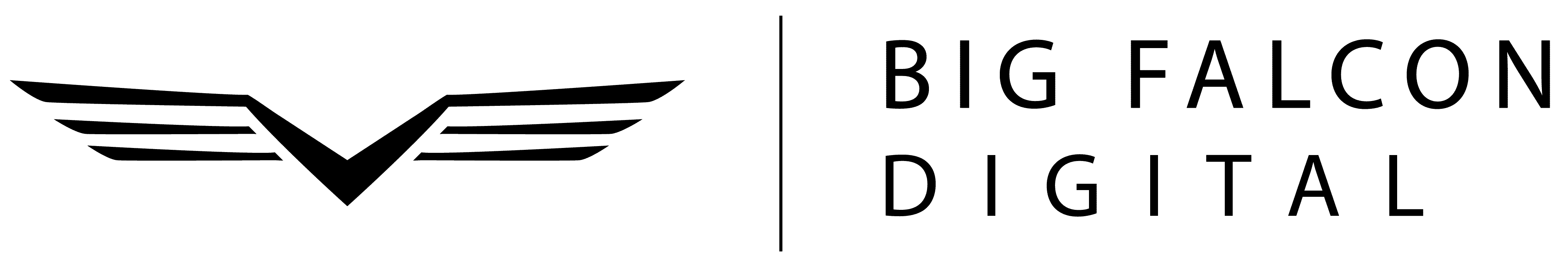 BIG FALCON DIGITAL, LLC logo