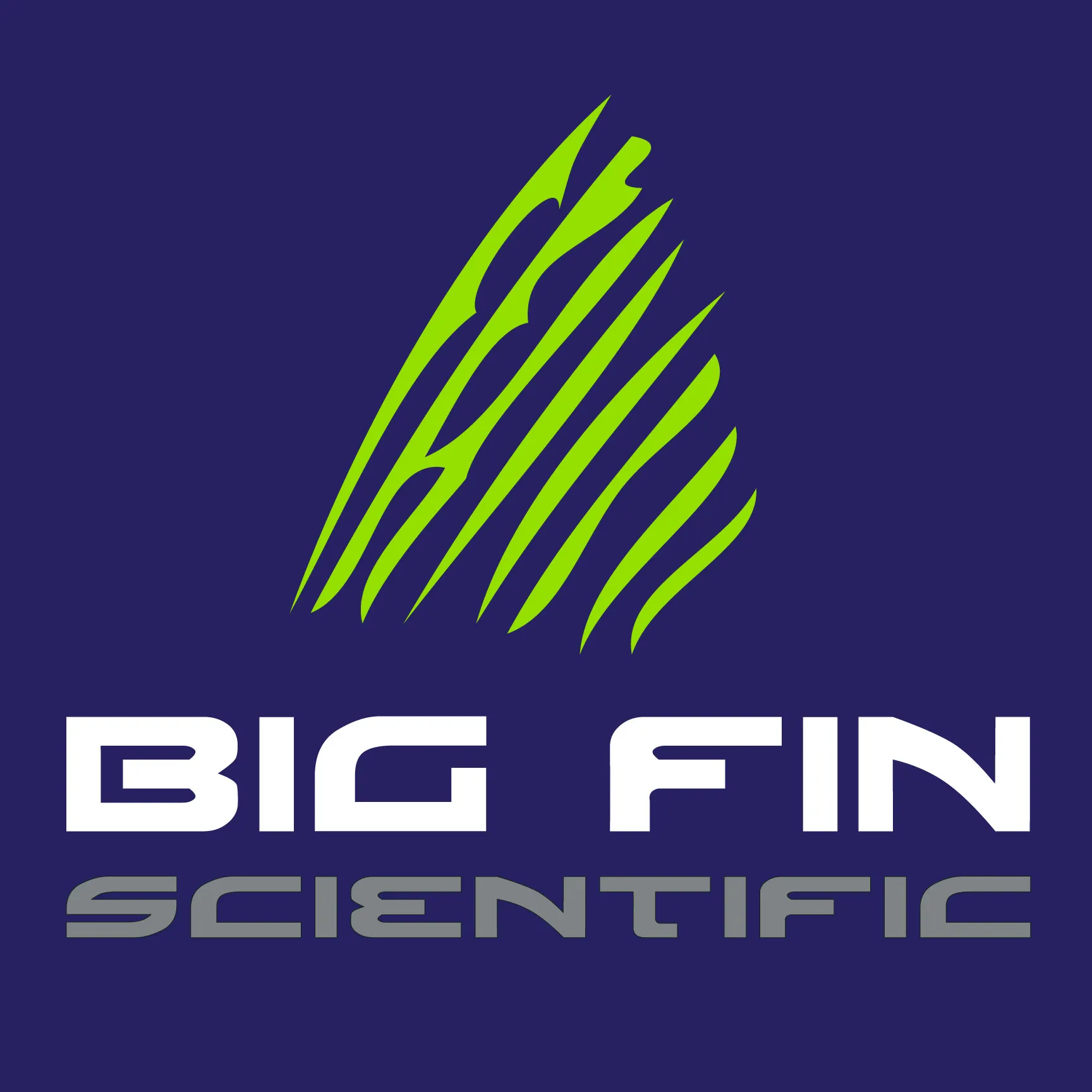 BIG FIN LLC logo