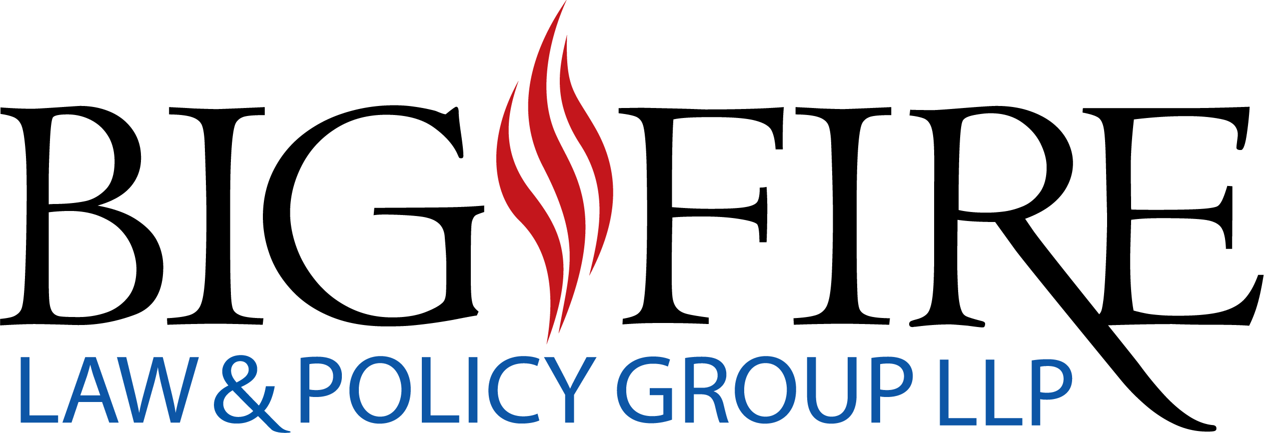 BIG FIRE LAW AND POLICY GROUP LLP logo