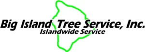 BIG ISLAND TREE SERVICE INC logo