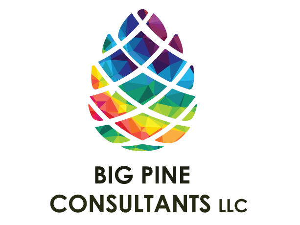 BIG PINE CONSULTANTS LLC logo