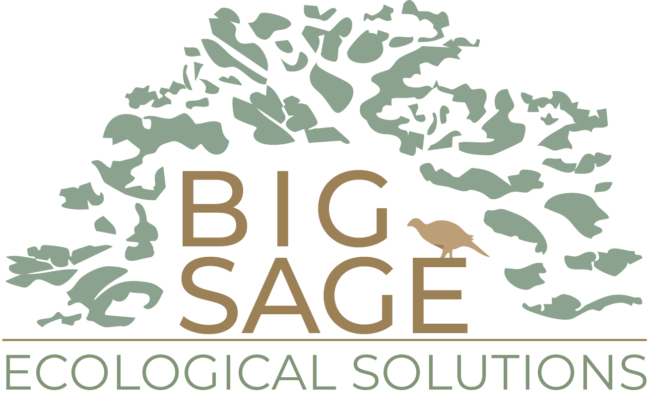BIG SAGE ECOLOGICAL SOLUTIONS LLC logo