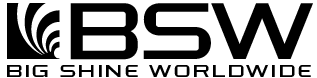 BIG SHINE WORLDWIDE INC logo