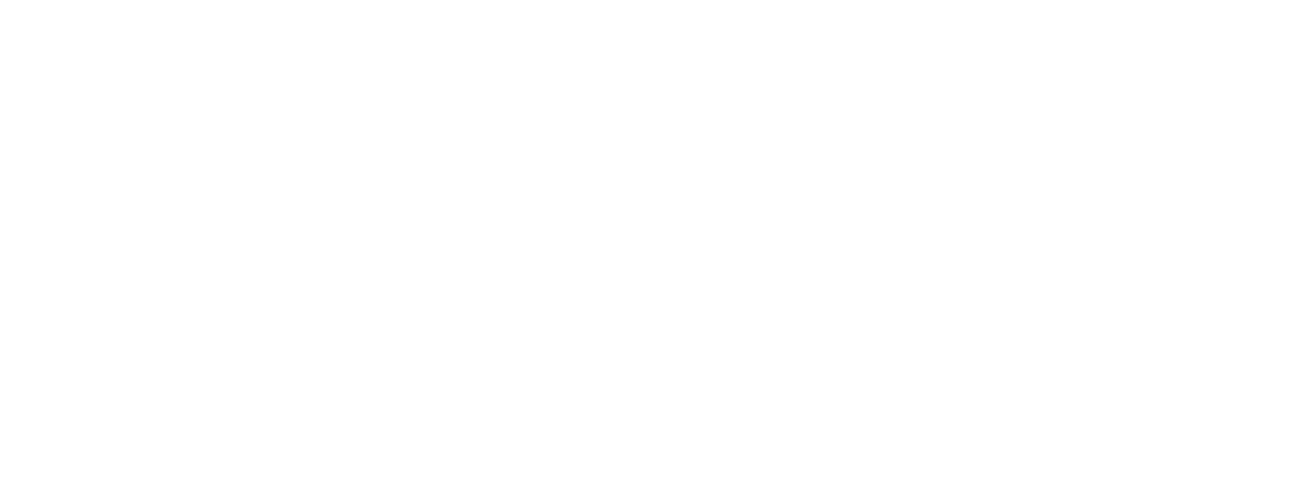 BIG VISUAL GROUP logo