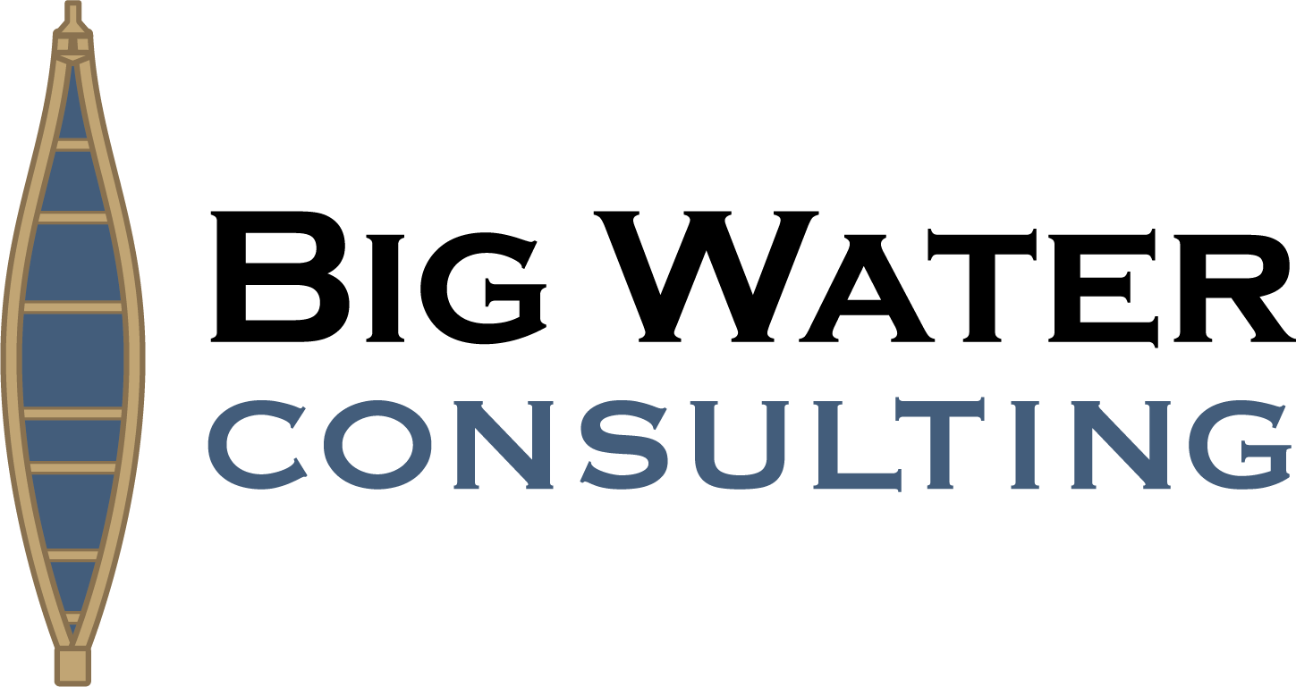 BIG WATER CONSULTING LLC logo