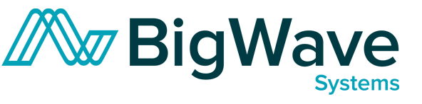 BIG WAVE SYSTEMS LLC logo
