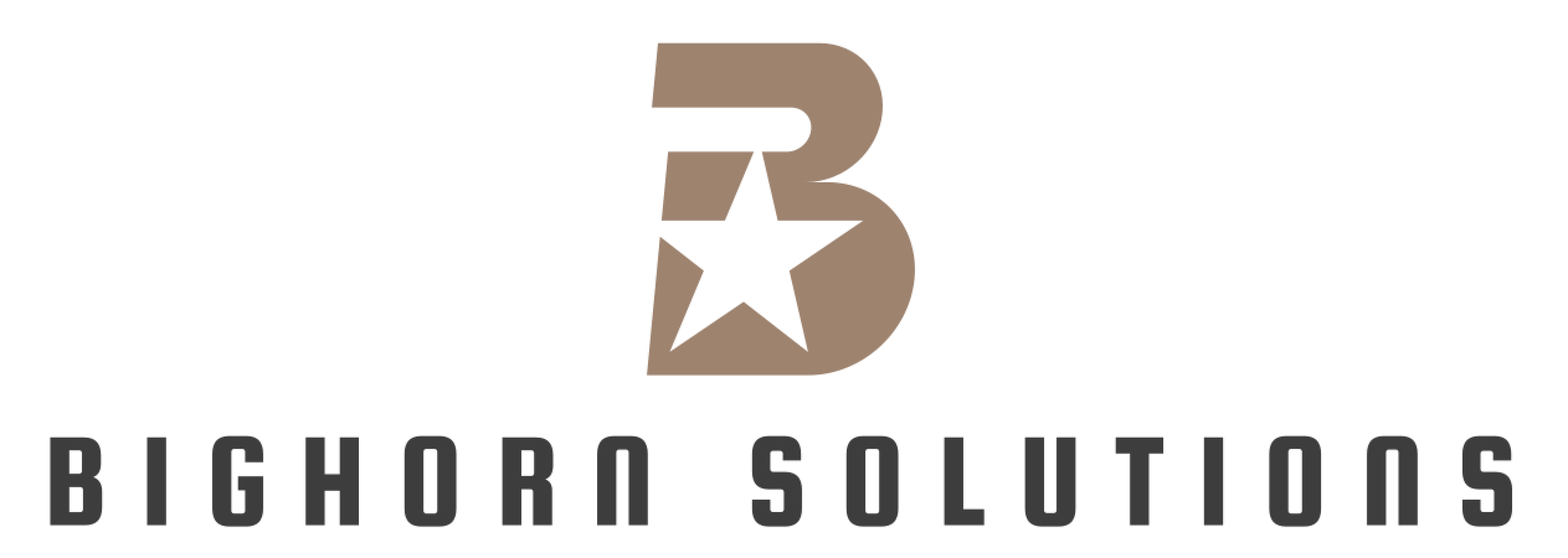 BIGHORN SOLUTIONS LLC logo
