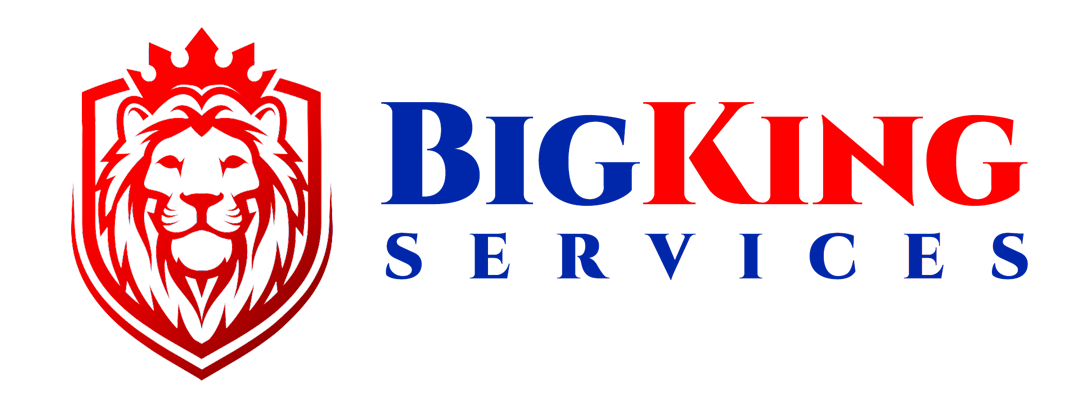 BIGKING SERVICES LLC logo