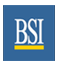 BIGWOOD SYSTEMS INC logo