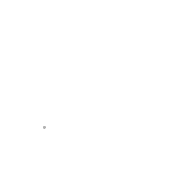 BIOCHOSEN, INC logo