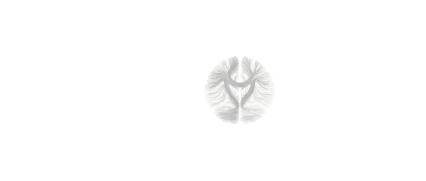 BIOHARMONIZE logo