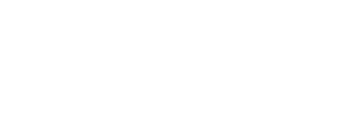 BIOLOGIC INPUT OUTPUT SYSTEMS INC logo