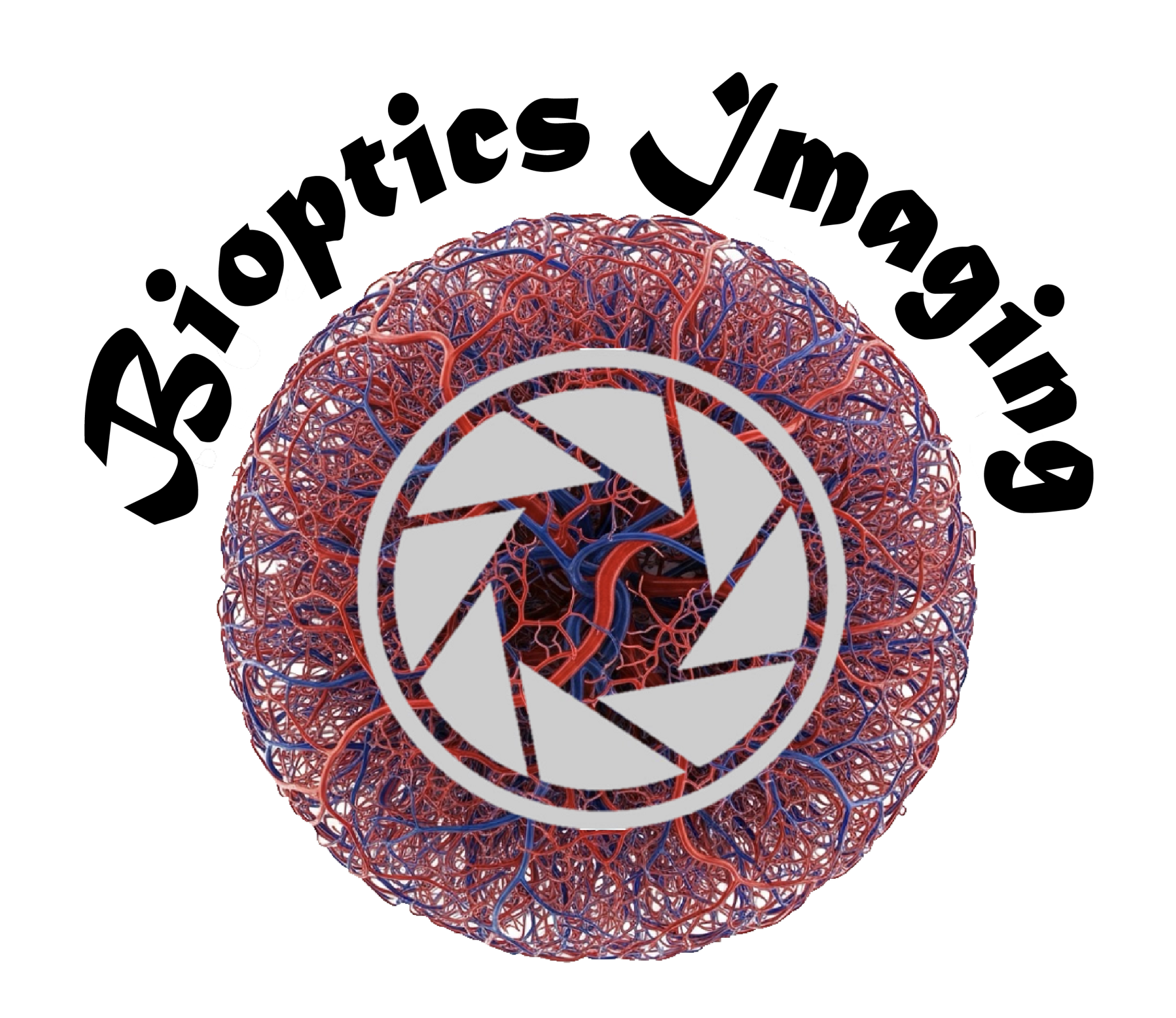 BIOPTICS IMAGING LLC logo