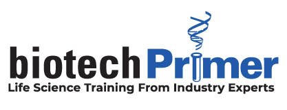 BIOTECH PRIMER INC logo