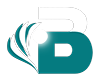 BIRKDALE ADVISORY GROUP LLC logo