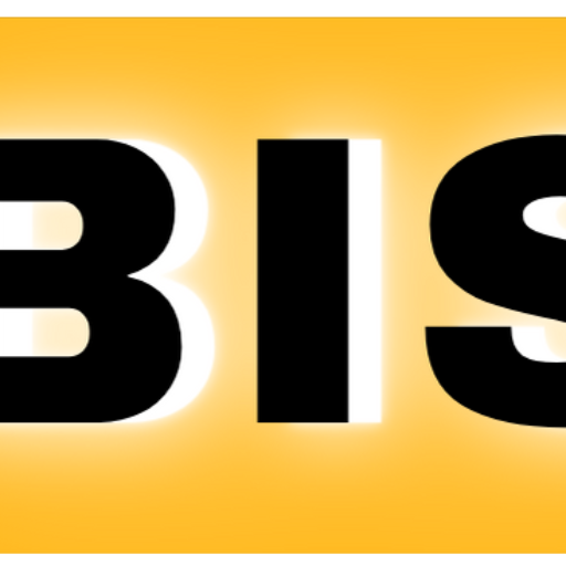 BIS BLESS INNOVATIVE SOLUTIONS LLC logo