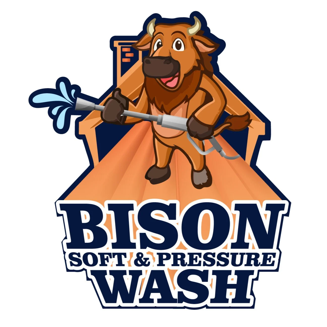 BISON SOFT & PRESSURE WASH LLC logo