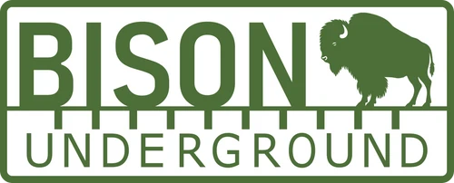 BISON UNDERGROUND LLC logo