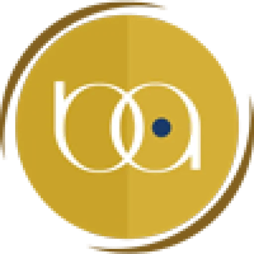 BIZ ASSIST US LLC logo
