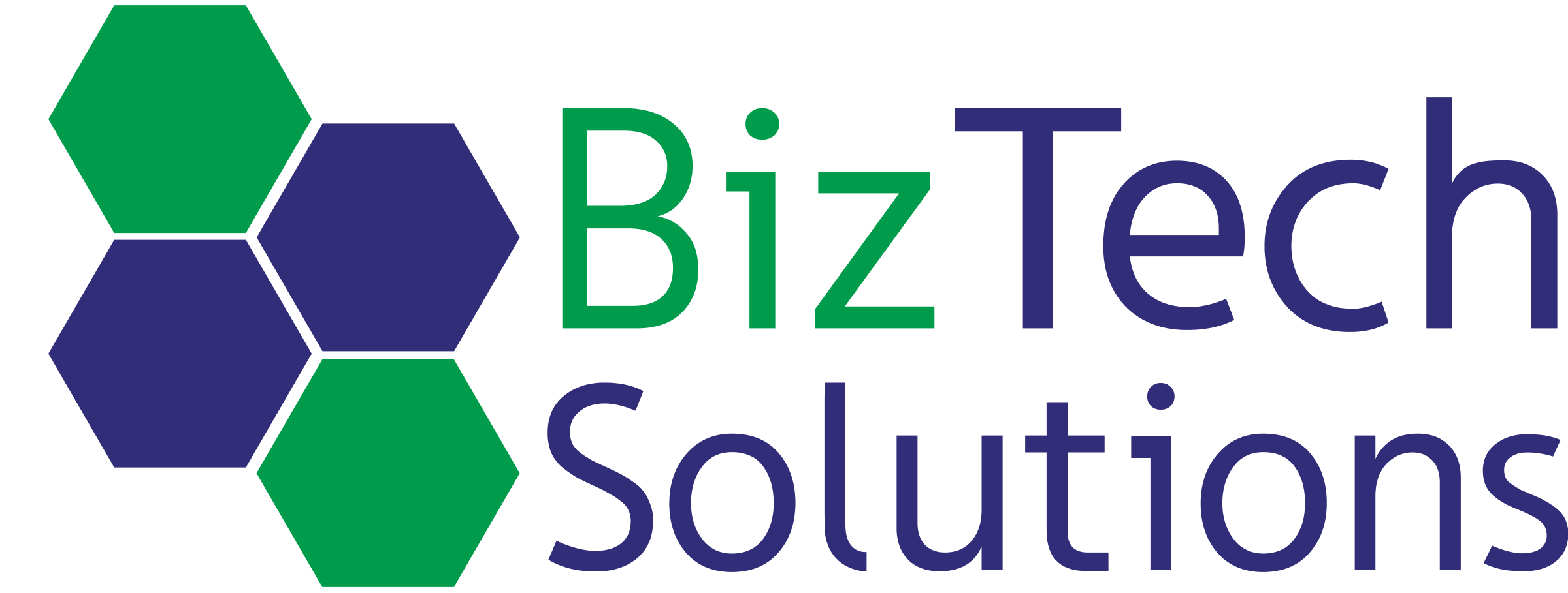 BIZTECH SOLUTIONS INC logo