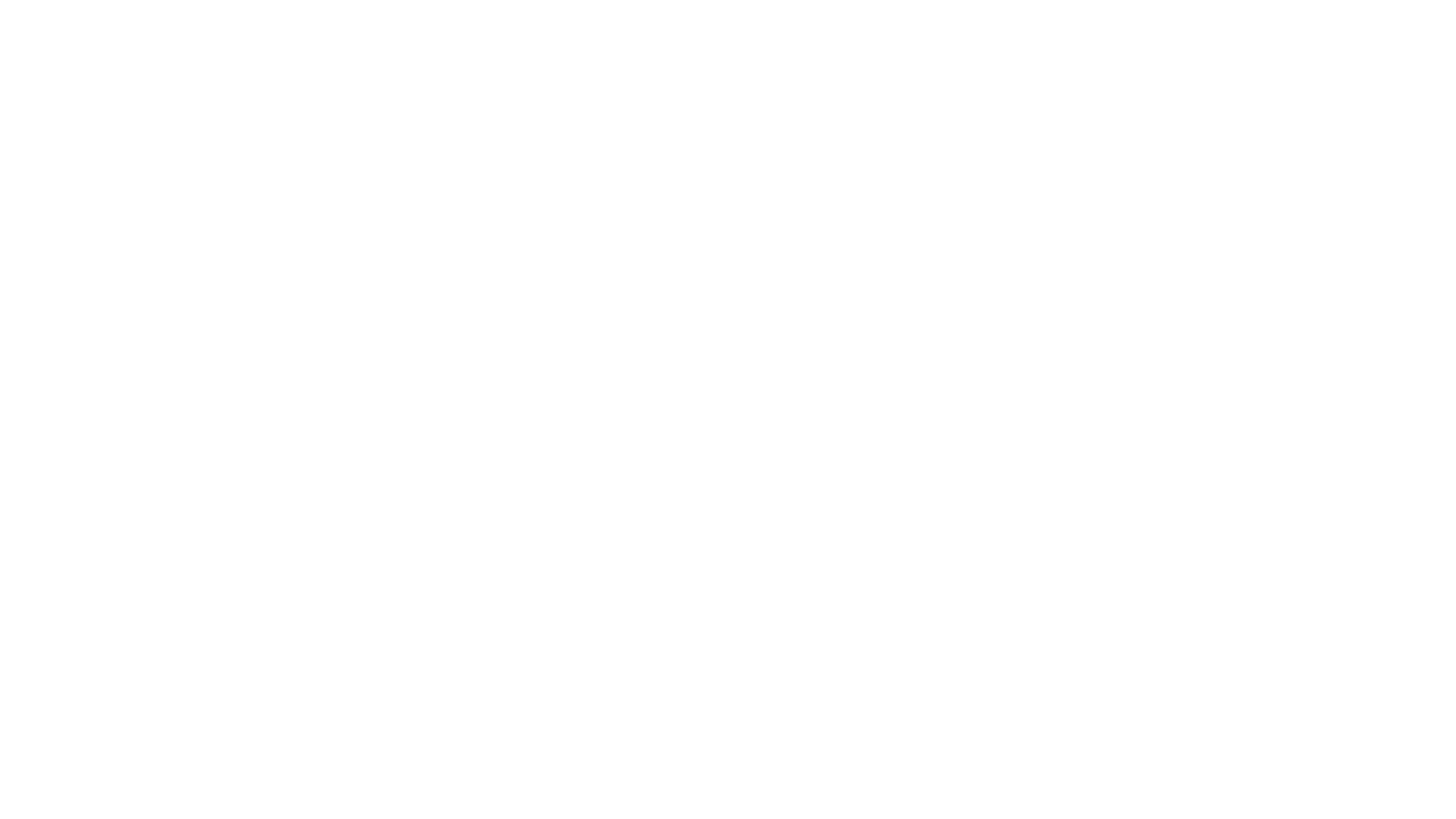 BLACK ANCHOR TACTICAL, LLC logo