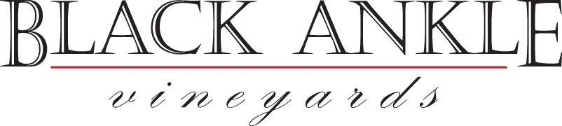 BLACK ANKLE VINEYARDS logo