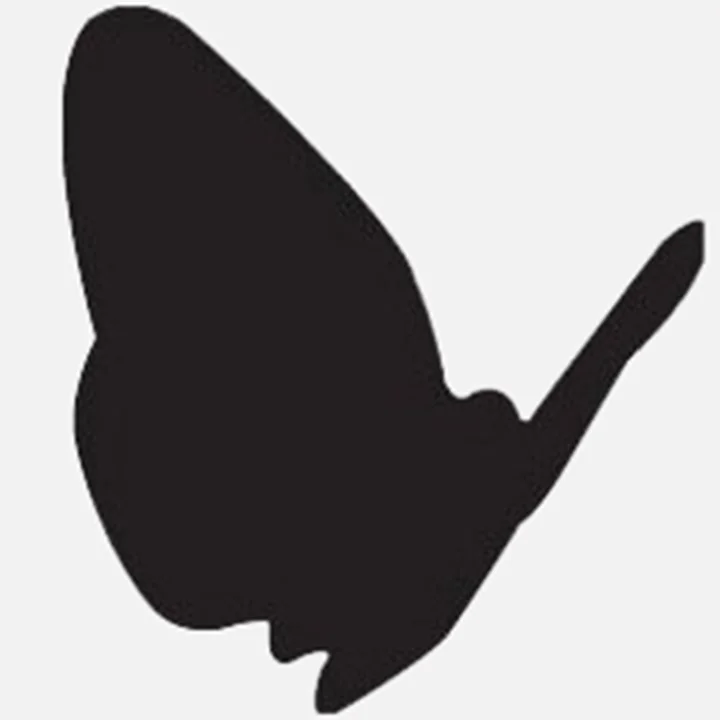 BLACK BUTTERFLY PRODUCTIONS logo