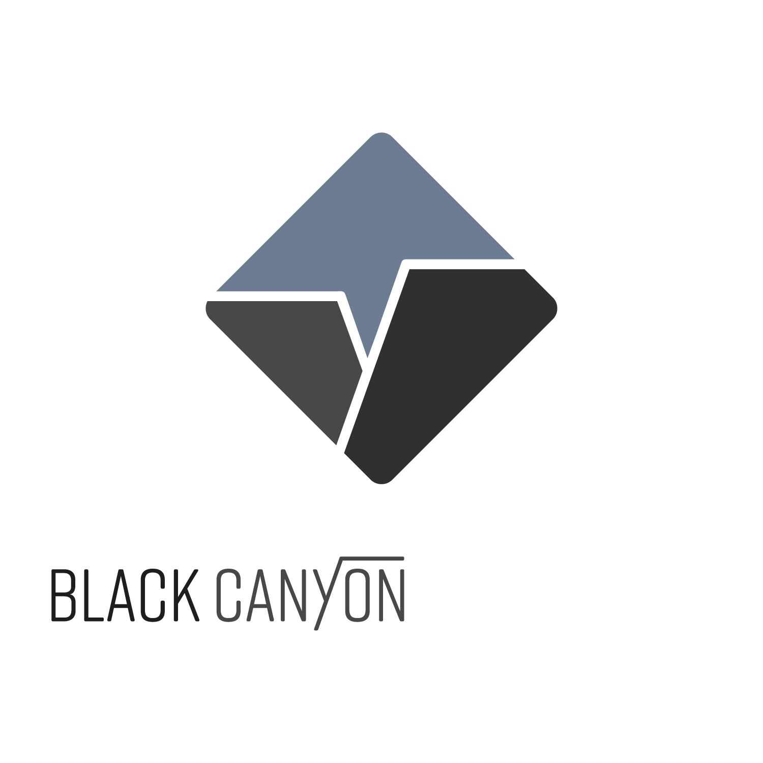 BLACK CANYON CONSULTING LLC logo