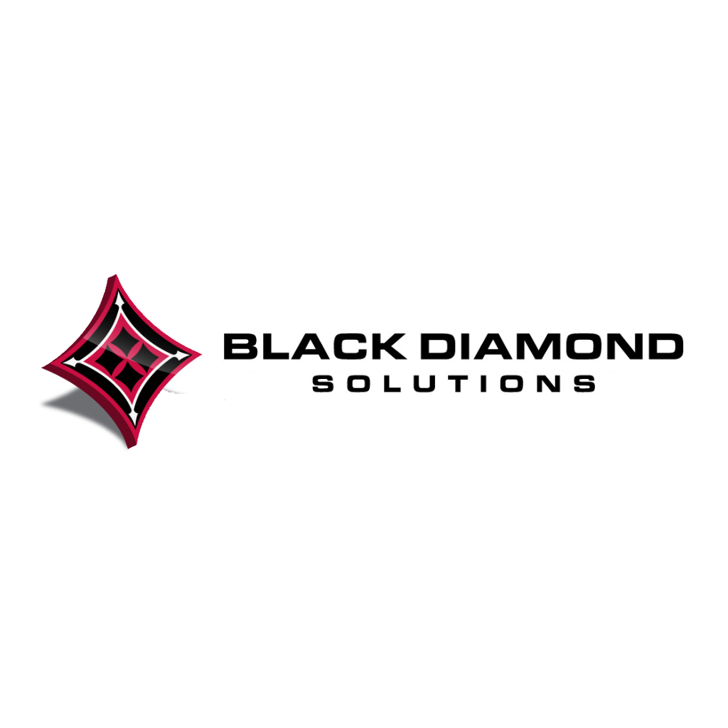 BLACK DIAMOND SOLUTIONS, INC. logo