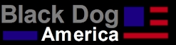 BLACK DOG AMERICA, LLC logo
