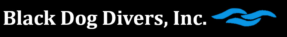 BLACK DOG DIVERS INC logo
