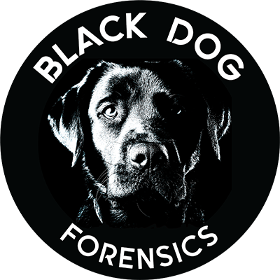 BLACK DOG FORENSICS LLC logo