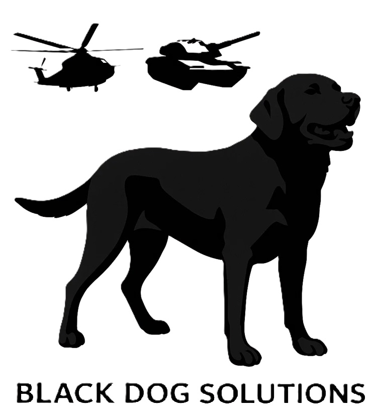BLACK DOG SOLUTIONS LLC logo