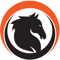 BLACK HORSE GROUP LLC logo