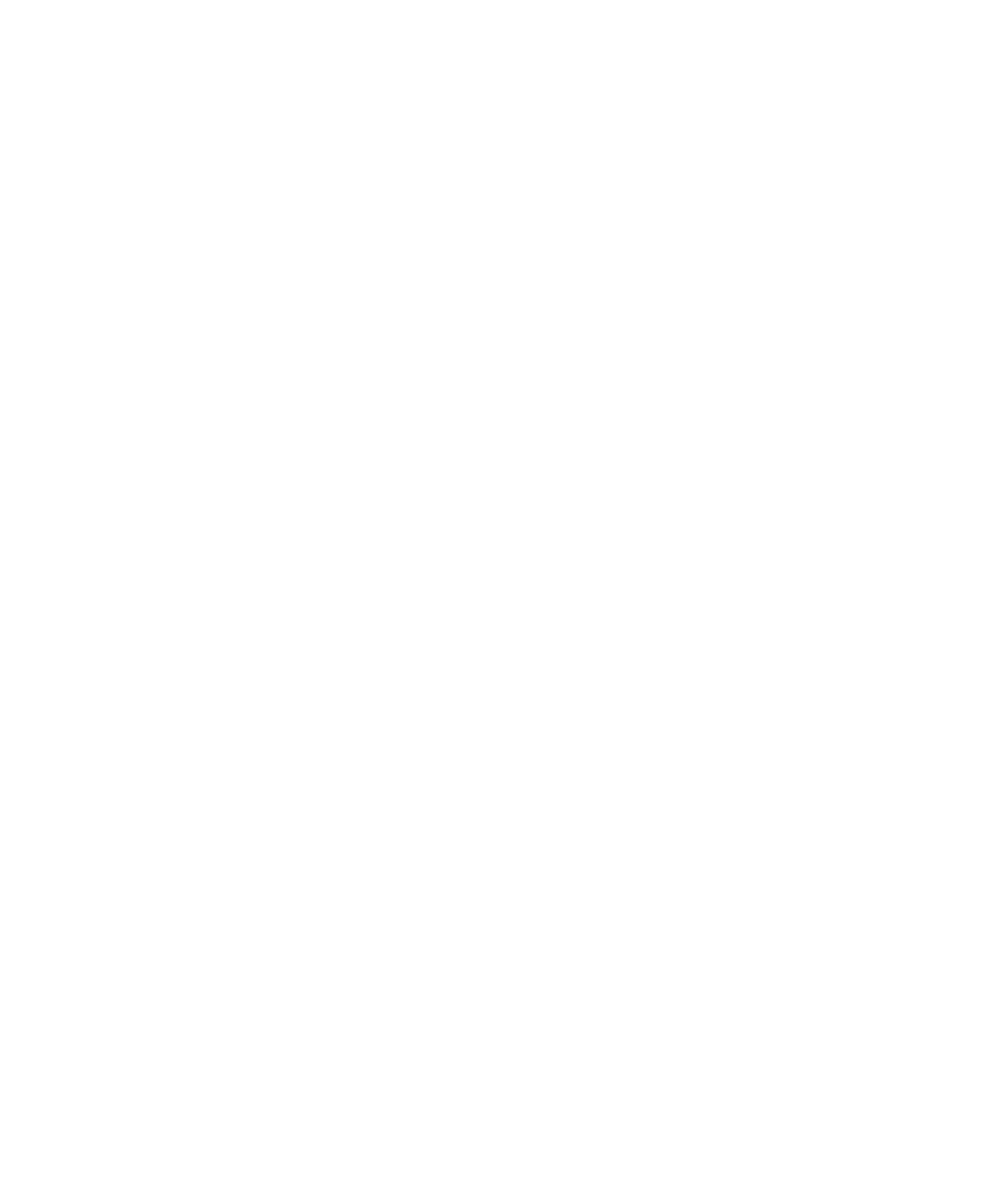 BLACK MOUNTAIN EXCAVATION LLC logo