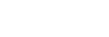 BLACK OPS SECURITY & SPECIAL EVENTS LLC logo