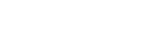 BLACK PEARL TECHNOLOGY, INC logo